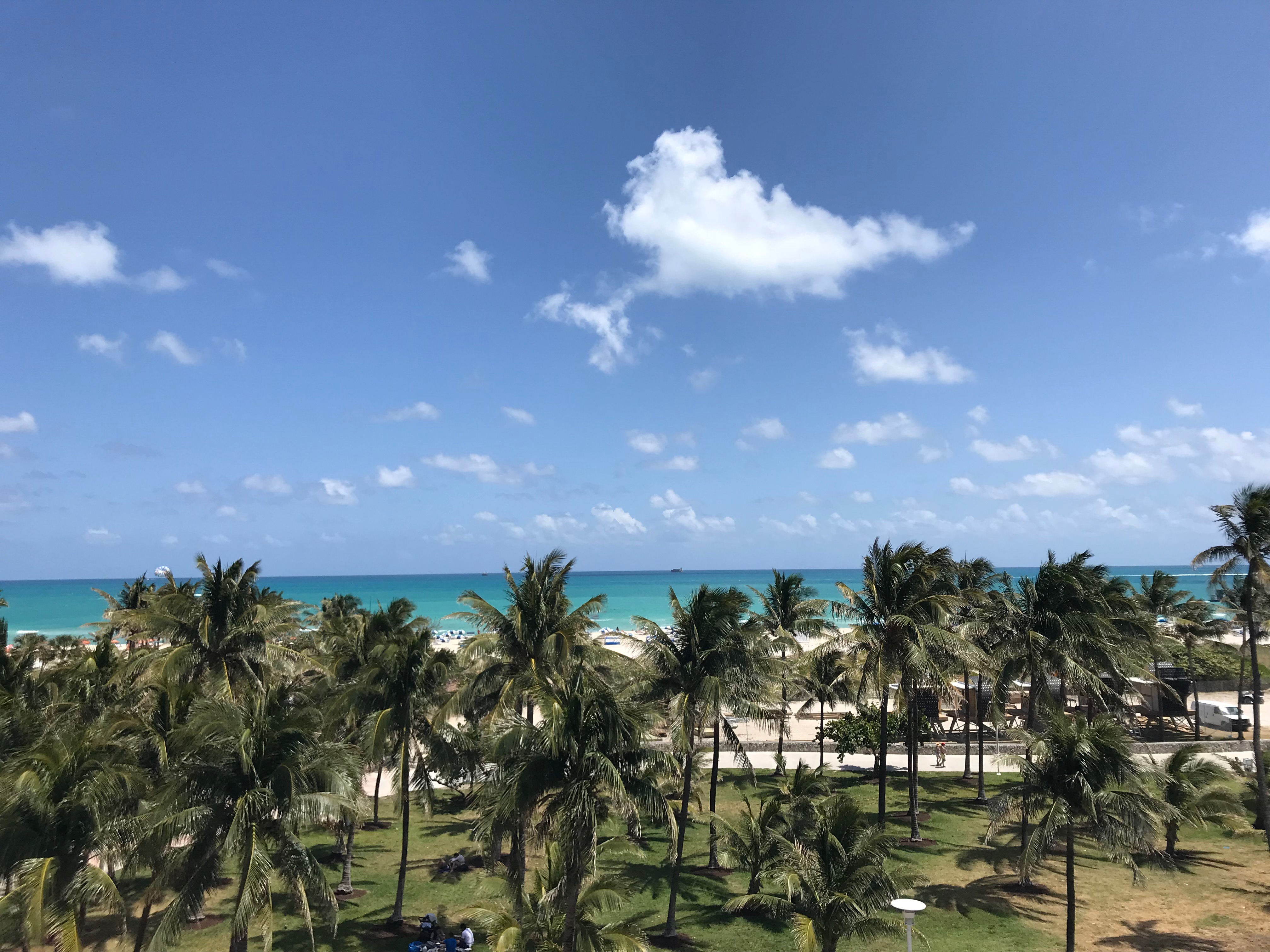 The Wellness Garden and Spa at the Betsy Hotel (South Beach, Miami, FL)