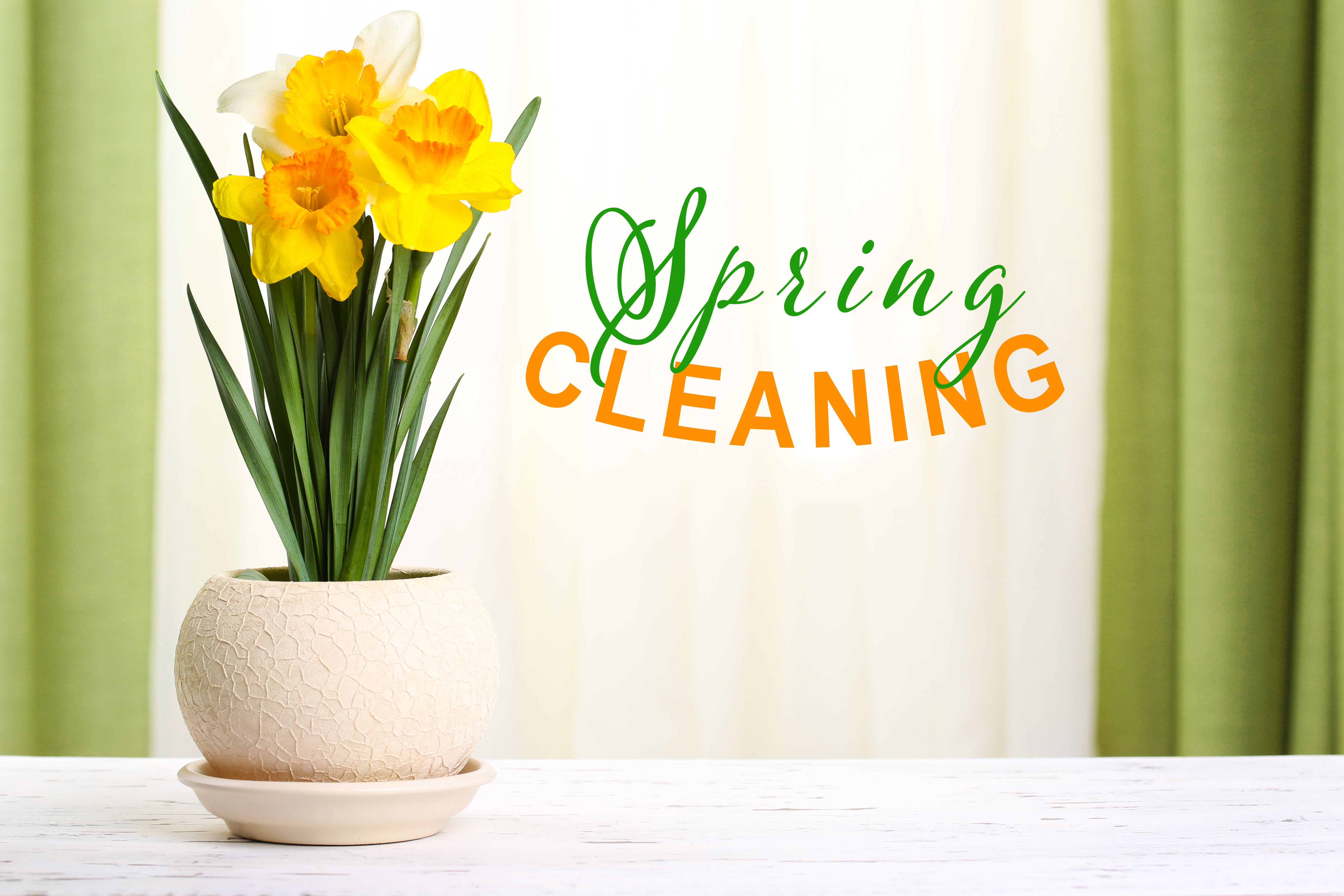 Energize your Spring Cleaning