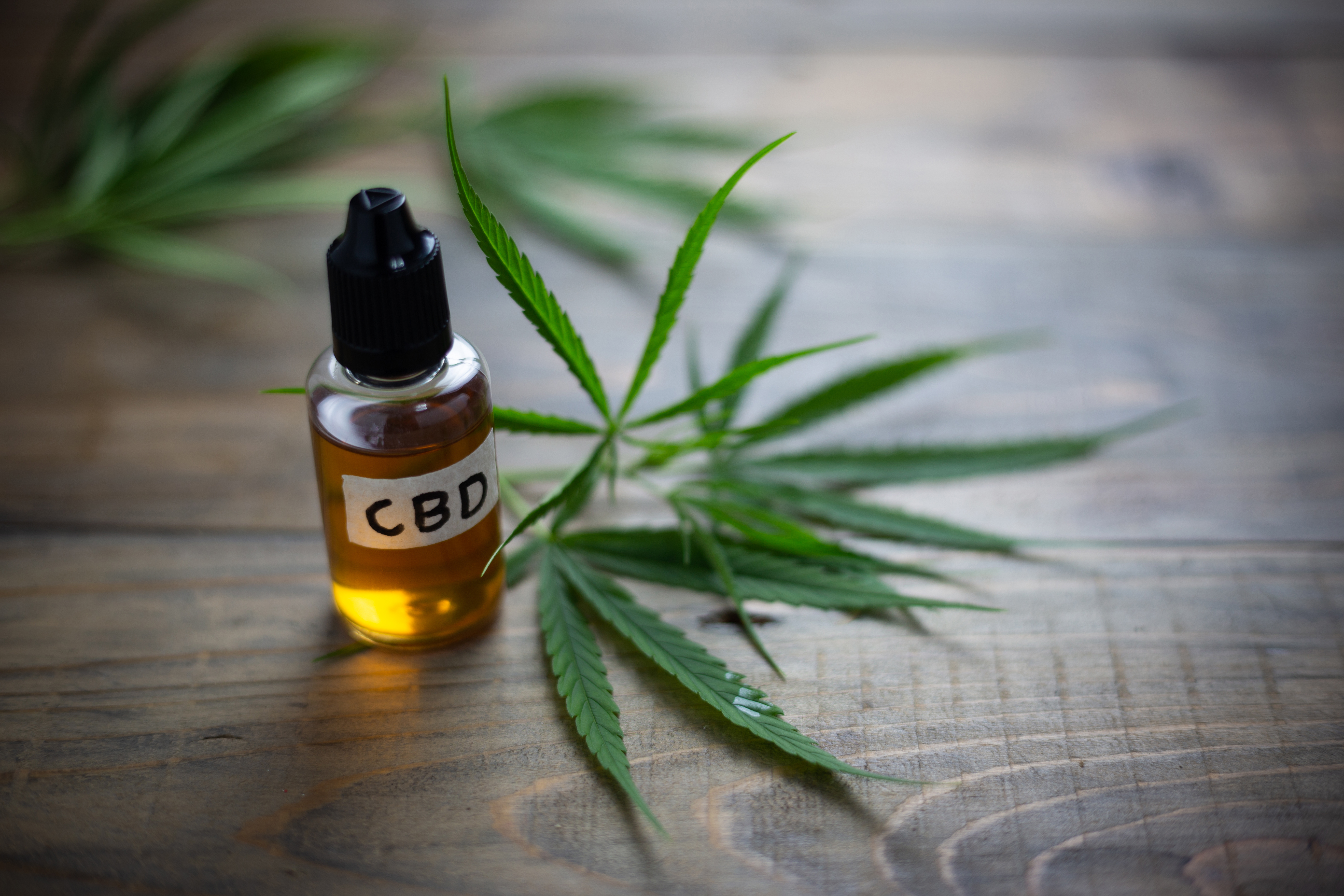 CBD Massage: What to Know Before you Go